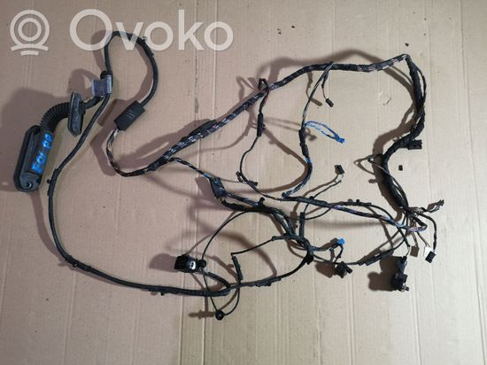 BMW 7 F01 F02 F03 F04 Front door wiring loom 9197633