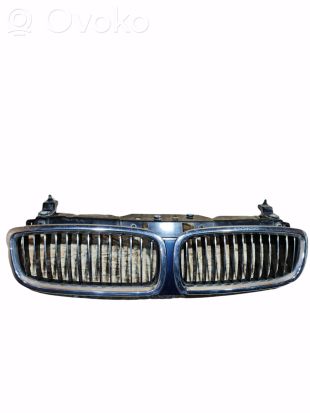 BMW 7 E65 E66 Front bumper upper radiator grill 51177037727 7037727