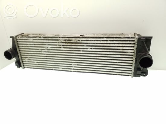 Mercedes-Benz Sprinter W906 Intercooler radiator A9065010101