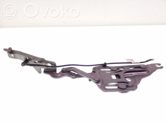 BMW X5 E70 Engine bonnet/hood hinges 714834710