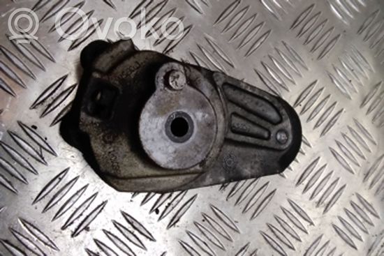 Mercedes-Benz CLS C219 Generator/alternator belt tensioner A6422000070