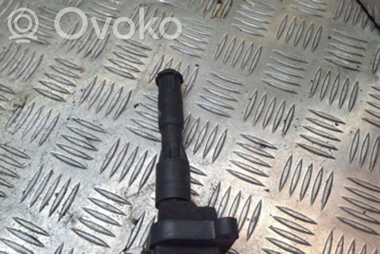 BMW 5 E39 High voltage ignition coil 0221504004