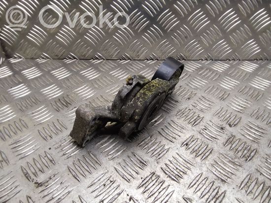 Audi A3 S3 8P Generator/alternator belt tensioner 06A903315F