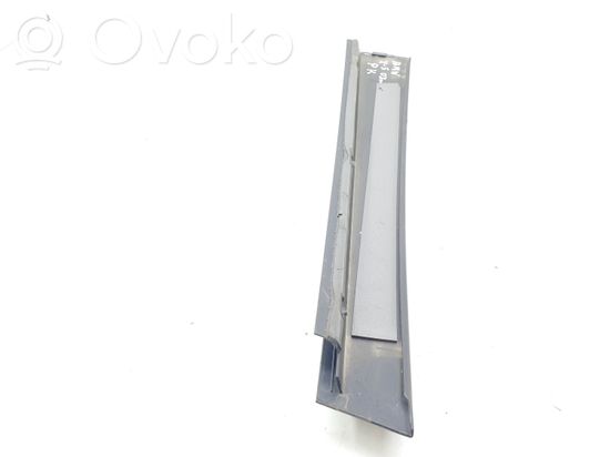 BMW X5 E53 Front door glass trim molding