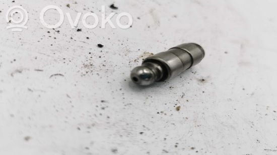 BMW X5 E53 Tappets lifter NOCODE