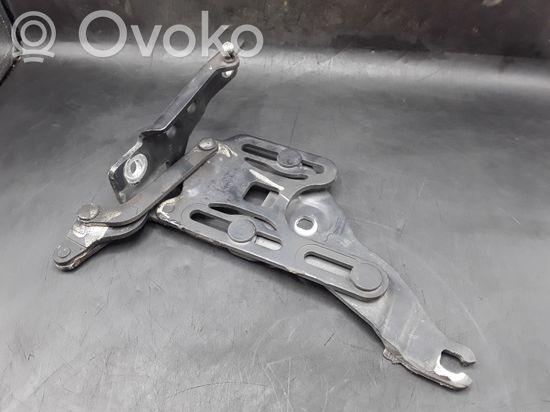 BMW X5 E70 Engine bonnet/hood hinges 714834710