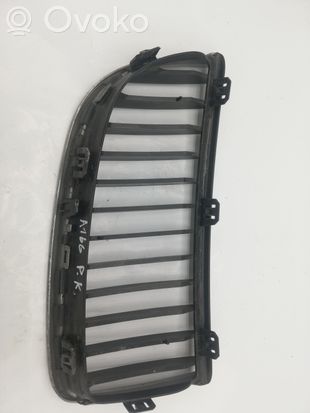 BMW 3 E90 E91 Front grill 22405910