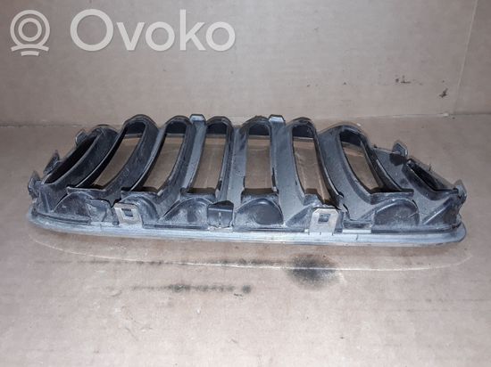 BMW X5 E53 Front grill BM07016 BM070161