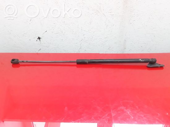 BMW X1 E84 Tailgate/trunk strut/damper 51242990136
