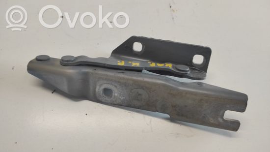 BMW 5 E60 E61 Engine bonnet/hood hinges 008727 41617 4907