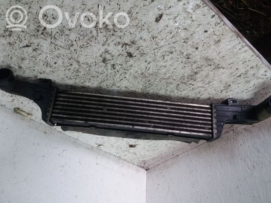Mercedes-Benz E W210 Fuel cooler (radiator) PA66GF30
