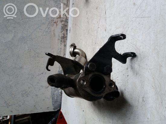 BMW 3 E46 EGR valve cooler