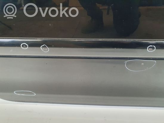 Audi A4 S4 B7 8E 8H Front door