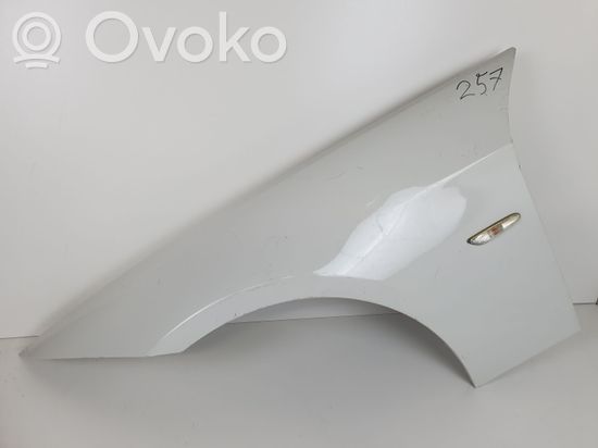 BMW 3 E90 E91 Fender