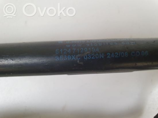 BMW 3 E92 E93 Tailgate/trunk/boot hinge 7060628 7129194 0320N