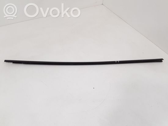 BMW 5 E60 E61 Other front door trim element