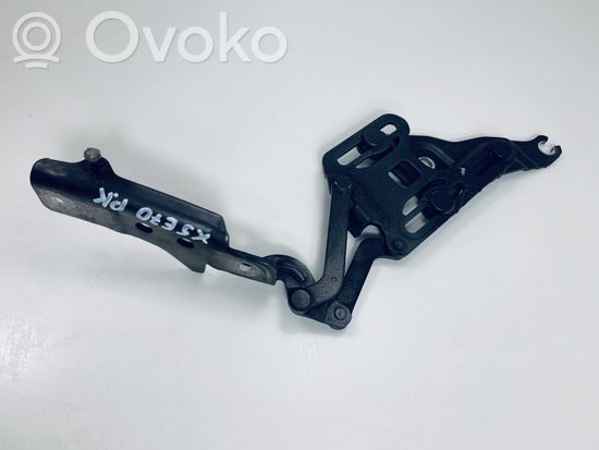 BMW X5 E70 Engine bonnet/hood hinges 714834710