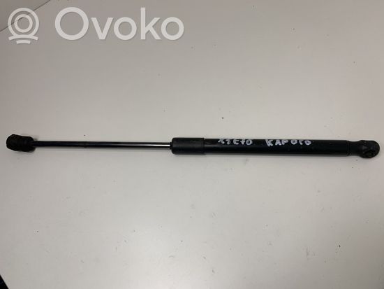 BMW X5 E70 Front bonnet/hood damper/strut 61327148346 7148346