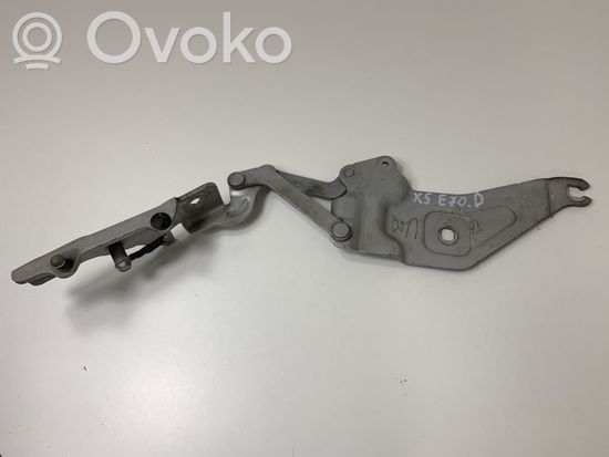 BMW X5 E70 Engine bonnet/hood hinges 720862801 7208628