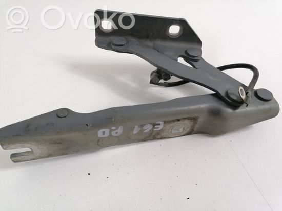 BMW 5 E60 E61 Engine bonnet/hood hinges 7008728