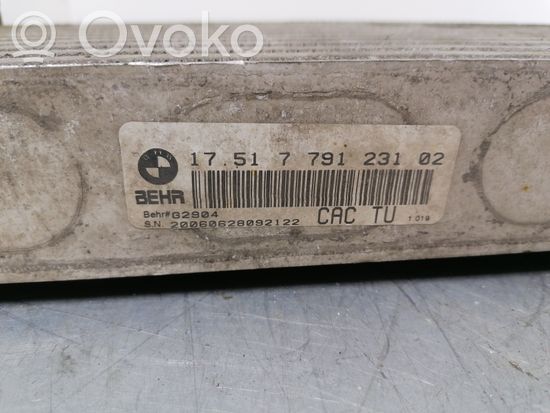 BMW X5 E53 Intercooler radiator 7791231