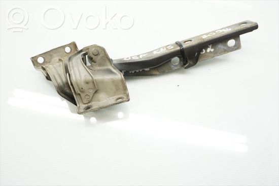 BMW X5 E53 Engine bonnet/hood hinges