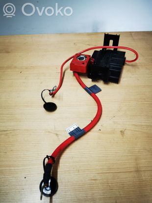 BMW 3 E92 E93 Positive cable (battery) 6988972