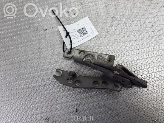 BMW 5 E39 Engine bonnet/hood hinges