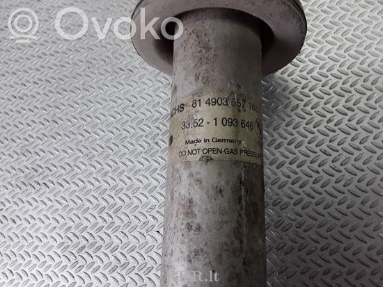 BMW 5 E39 Rear shock absorber/damper 1093646
