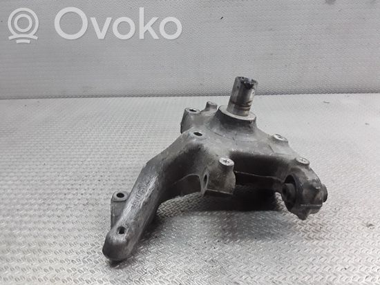 Volkswagen PASSAT B6 Rear wheel hub spindle/knuckle