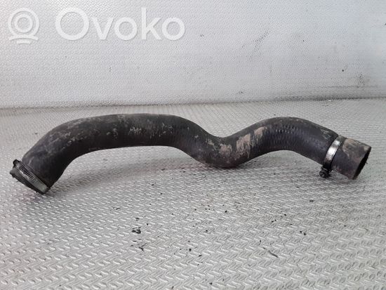 BMW 5 E39 Engine coolant pipe/hose