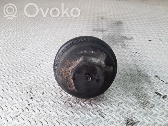 Volkswagen Caddy Oil filter cover 045117061F