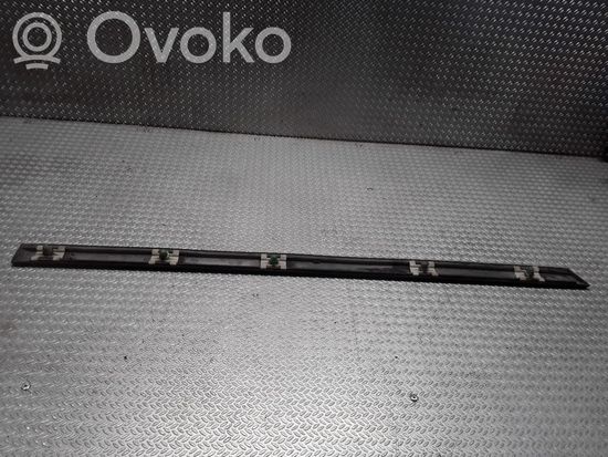 BMW 5 E39 Rear door trim (molding) 8184479