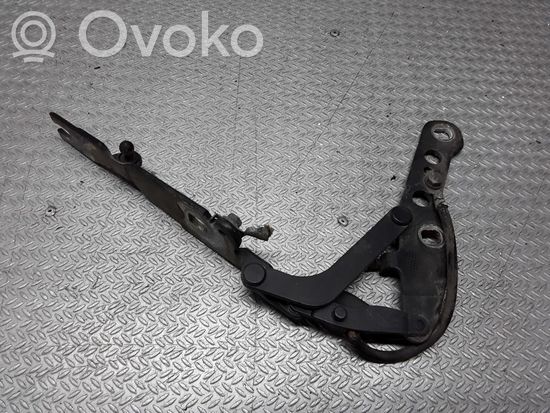 BMW 3 E46 Engine bonnet/hood hinges 41618200123
