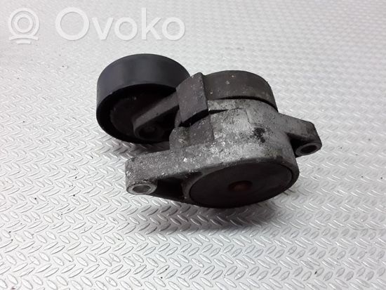 BMW 3 E46 Generator/alternator belt tensioner