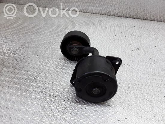 BMW 3 E46 Generator/alternator belt tensioner 11287786880