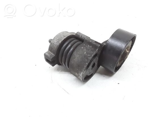 BMW 3 E90 E91 Generator/alternator belt tensioner