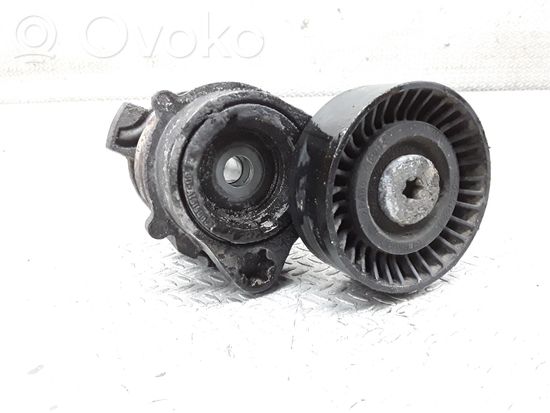 BMW X5 E53 Generator/alternator belt tensioner