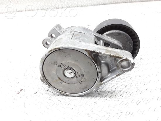 BMW X5 E53 Generator/alternator belt tensioner
