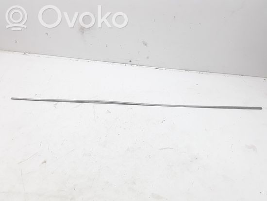 Mercedes-Benz C W204 Front door trim (molding)