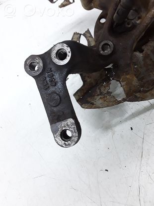 Volkswagen Golf Plus Rear wheel hub spindle/knuckle 1K0436N