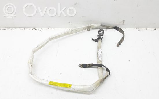 BMW 5 E39 Roof airbag 8482176237