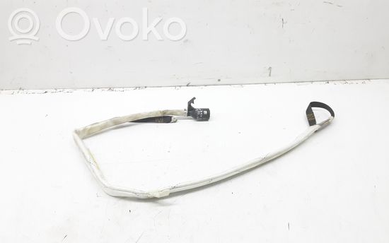 BMW 5 E39 Roof airbag