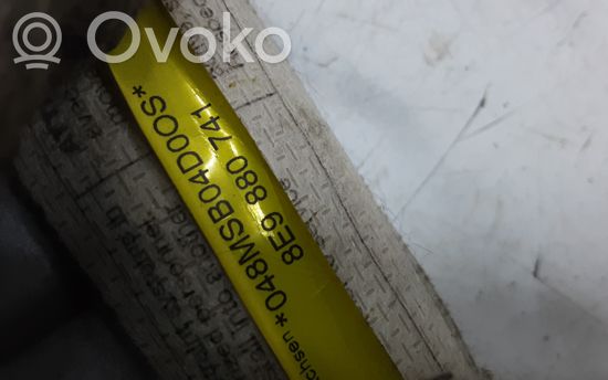 Audi A4 S4 B6 8E 8H Roof airbag 8E9880741
