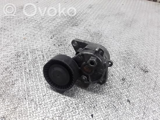 BMW 5 E39 Generator/alternator belt tensioner P230206