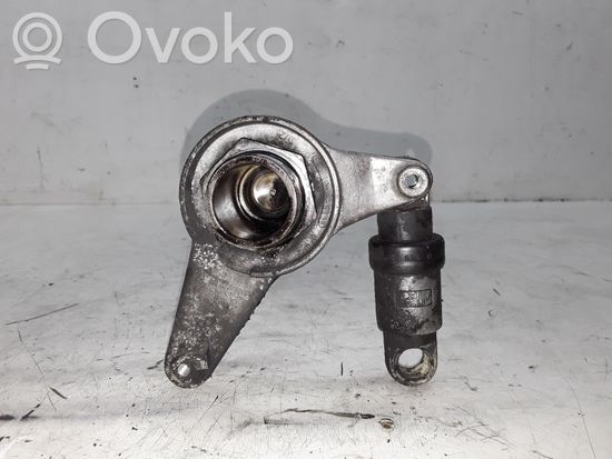 BMW 5 E39 Generator/alternator belt tensioner
