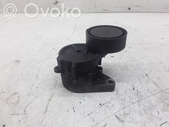 BMW 5 E39 Generator/alternator belt tensioner 8374994