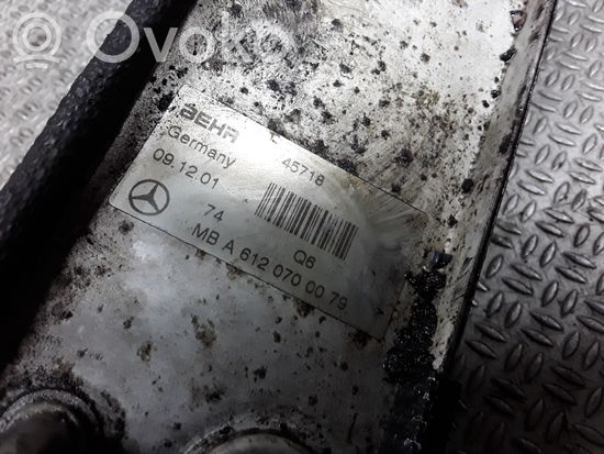 Mercedes-Benz C W203 Fuel cooler (radiator) A6120700079
