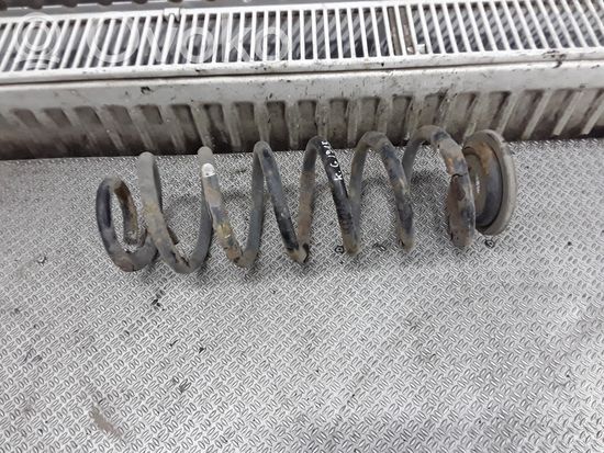 Volkswagen PASSAT B6 Rear coil spring