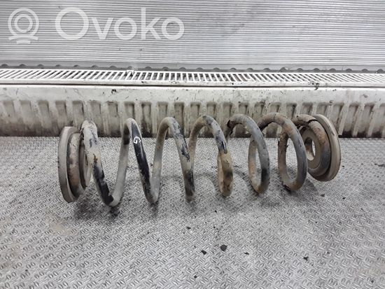 Volkswagen PASSAT B6 Rear coil spring